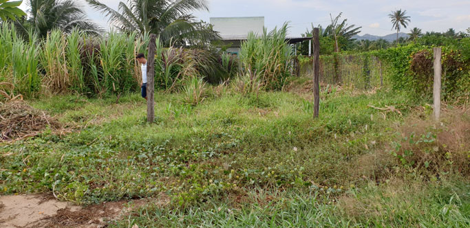 Đất nông nghiệp có thể xây nhà gần nhà hàng Chốn Quê đường Thống Nhất bất động sản ninh thuận