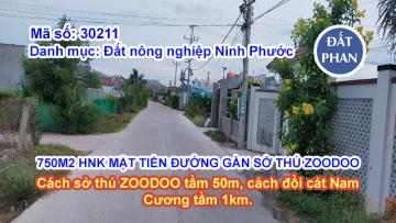 750M2 HNK MẶT TIỀN ĐƯỜNG GẦN SỞ THÚ ZOODOO
