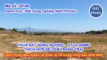 1 hecta đất làm trang trại ở phía Nam thành phố Phan Rang