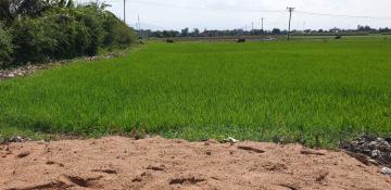 Đất trồng lúa 1858m2 đường Ngô Đức Kế